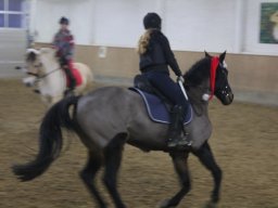 IMG_3015_web